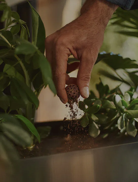 Екологічна кава CoffeeB - піклування про довкілля