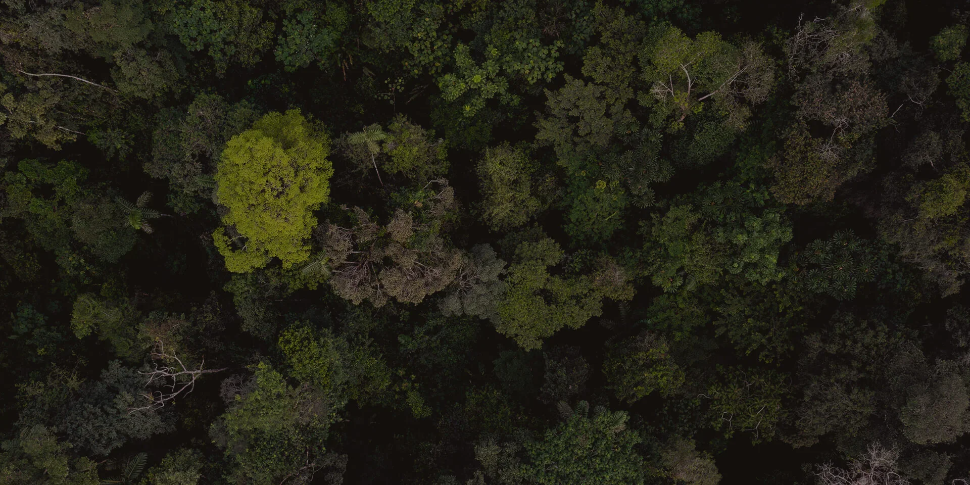 Доставка CoffeeB по всій Україні - Нова Пошта та Укрпошта